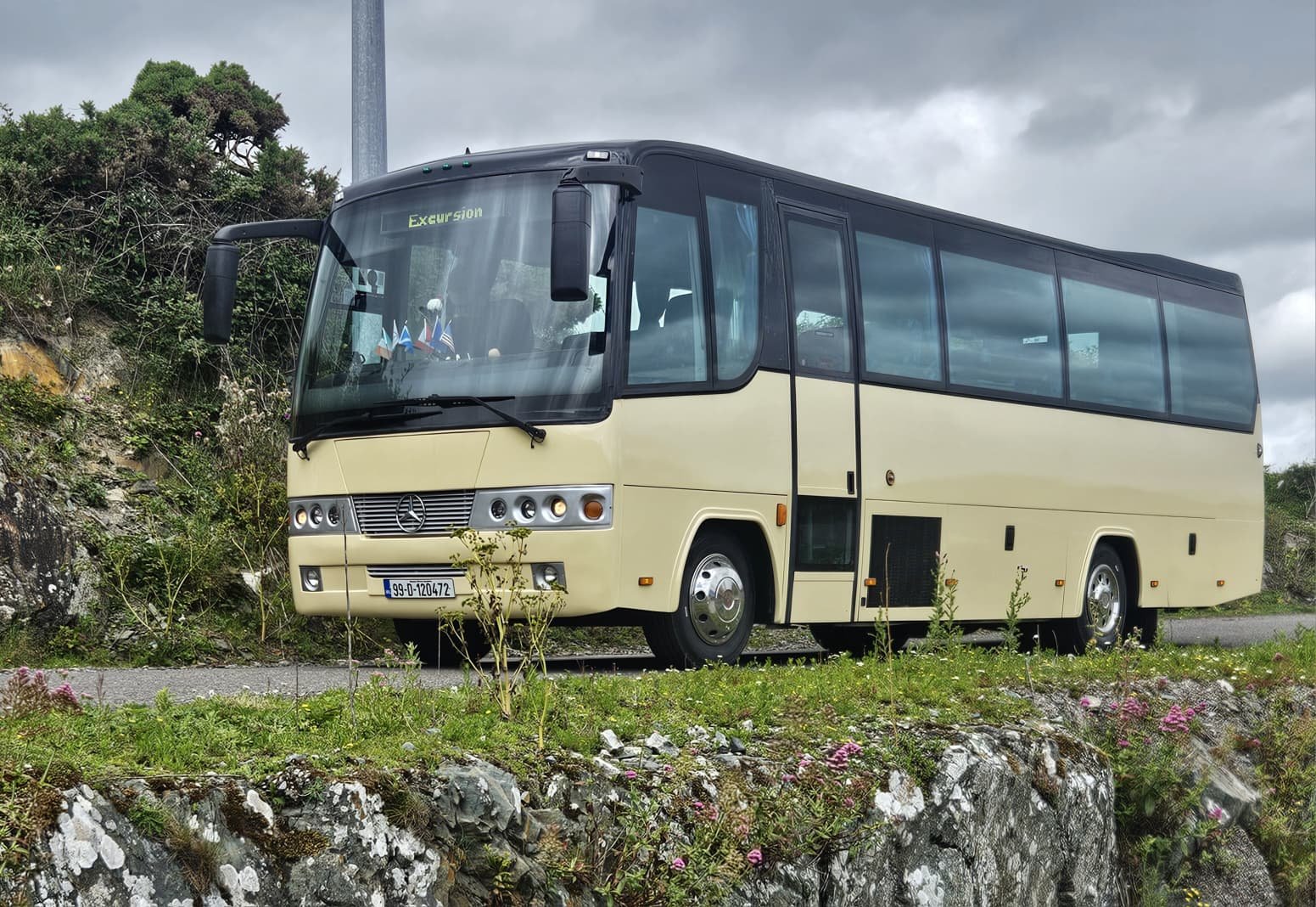 Paynes white Mercedes coach in parkland