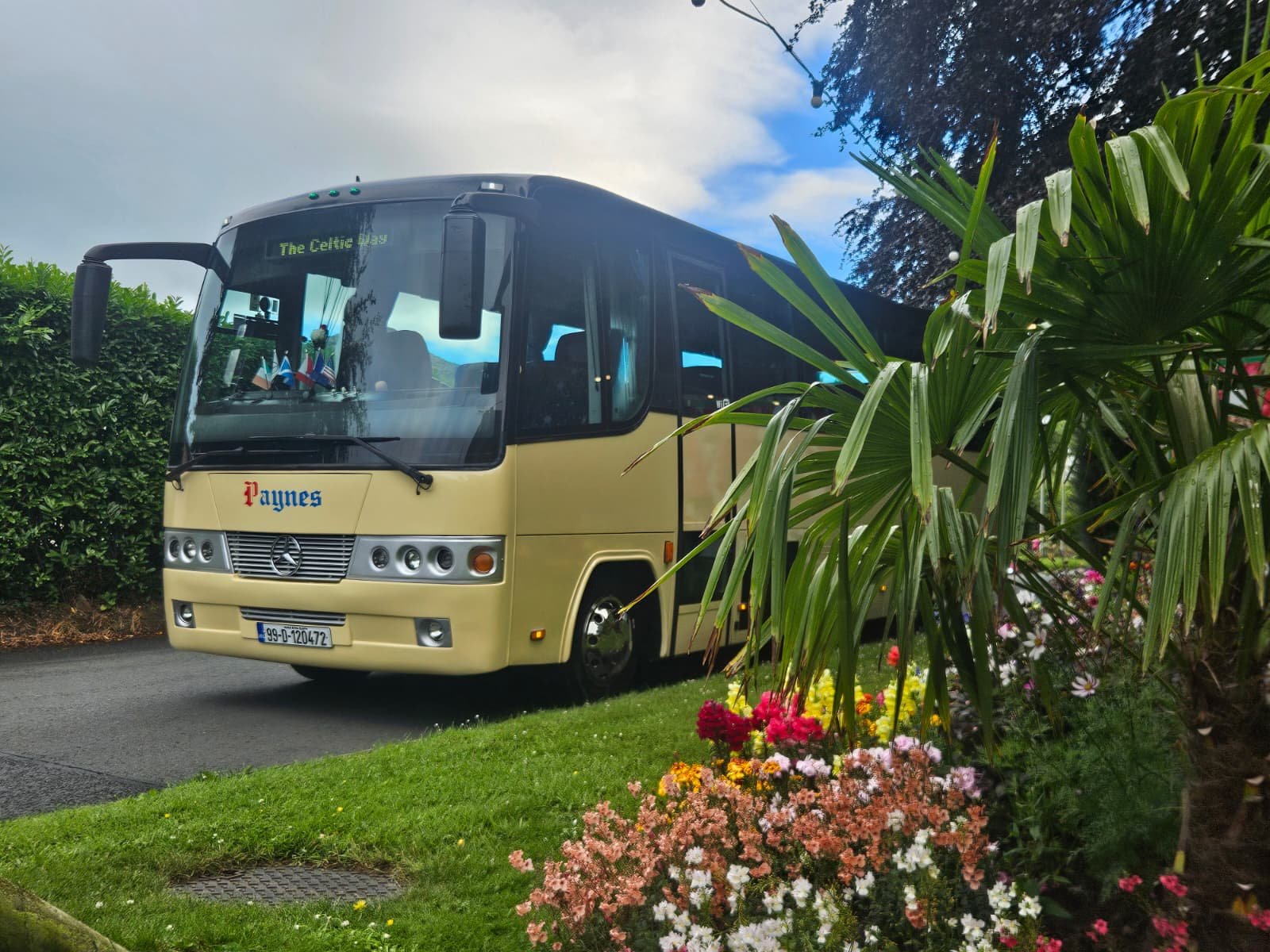 Paynes coach at Carlingford Lough