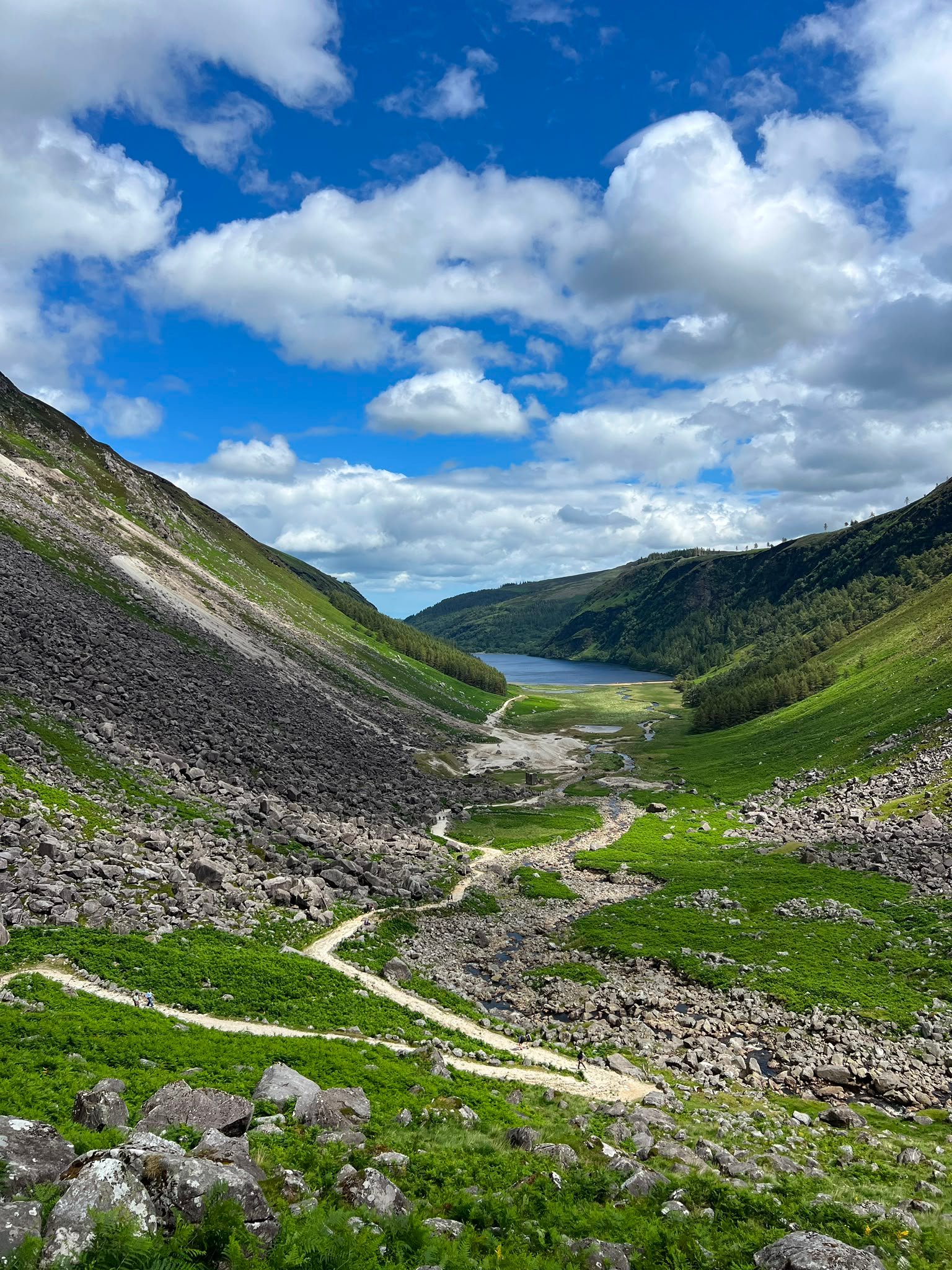 Wicklow Mountains